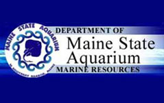 maine-aquarium